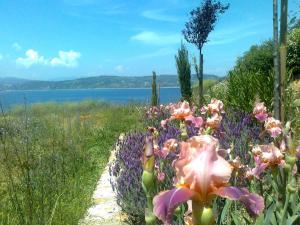 Marvelous Sea View Eco Studio Ammouliani Greece