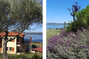 Marvelous Sea View Eco Studio Ammouliani Greece