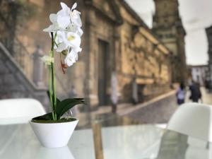 Апартамент Apartamento Balcon al Rio Кордоба Испания