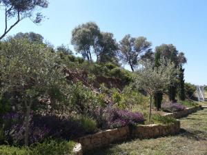 Marvelous Sea View Eco Studio Ammouliani Greece