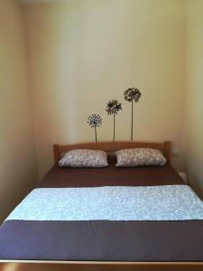 Luxury Apartment Maja