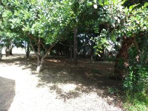 Areti holiday home in front of the sea with a large garden Argolida Greece