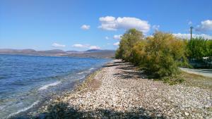 Areti holiday home in front of the sea with a large garden Argolida Greece