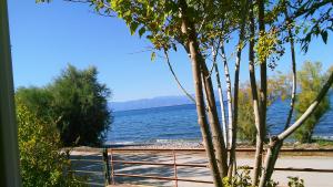 Areti holiday home in front of the sea with a large garden Argolida Greece