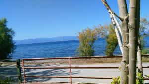 Areti holiday home in front of the sea with a large garden Argolida Greece