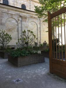 Appartements Aux Pieds de La Cathedrale : photos des chambres