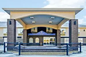 Canalta Provost - Veteran