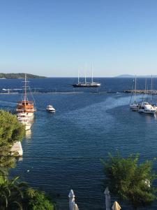 Hotel Papagalos Halkidiki Greece