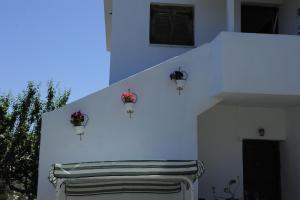 Camelia studios Skiathos Greece