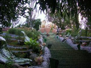 Nikolaev City Center