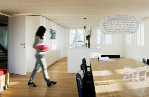 Mesmerhaus