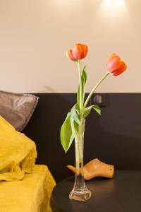 Hotels Maison Volver : photos des chambres