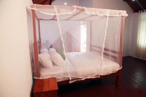 Sinharaja Forest Sanctuary