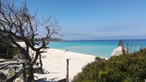 3 hvězdičkový apartmán Lozari plage Belgodère Francie