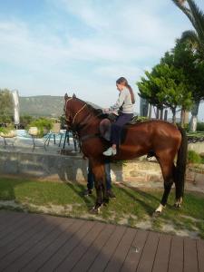 Ariadnes Holiday Accommodation I