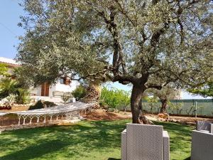 B&B Allombra degli ulivi