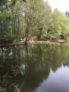 Maisons de vacances GoGreen Cabin : photos des chambres