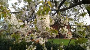 B&B / Chambres d'hotes A la campagne, au calme : photos des chambres