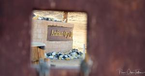 Arabian Oryx Camp
