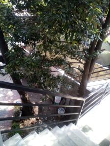 Villa Mattancherry