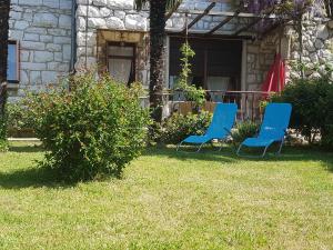 Apartment Urban garden 