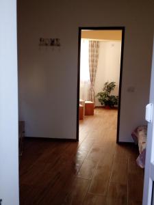 Apartament si Studio Daniel