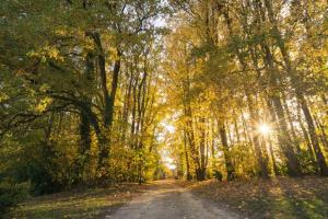 B&B / Chambres d'hotes Chateau d'Ardree : photos des chambres