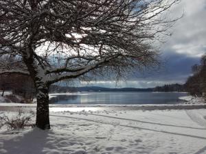 Les Grillons du Morvan