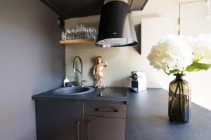 Appartements Le Petit Carriere : photos des chambres