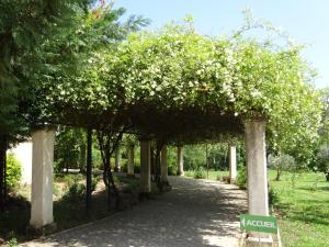 GOLF CLUB DUZES