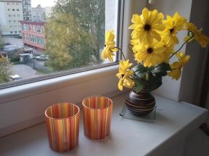 Apartament III piętro 2 POKOJOWY