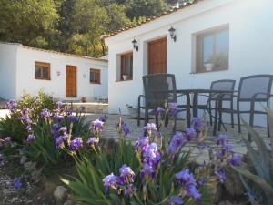 La Casita, Zagra