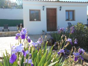 La Casita, Zagra