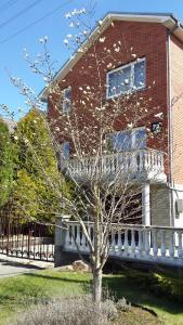 Home for Guests Lakštingala