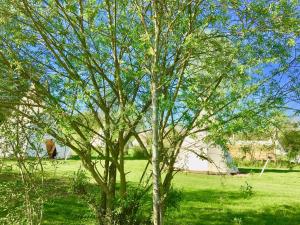 Campings Les Tipis du Bonheur de Vivre : photos des chambres
