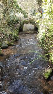 holidayhome Heidelberg