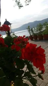 Casa DucAna - Orşova