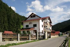 Accommodation in Gorj