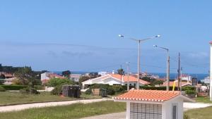 Cegonha do mar