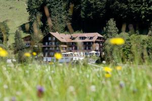 Hotel Hotel Restaurant Hammer Eigenthal Schweiz