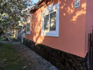 Sadyba u Mykhaila - 科松