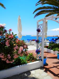 Apartment Christos Limenaria Thassos Greece