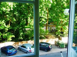 D. Carlos Residencial