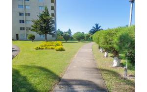 Sundreamer Suite @ Turtle Towers