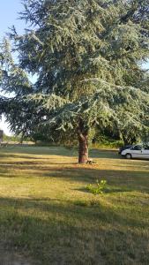 Maisons de vacances La Turlure : photos des chambres