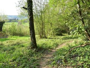 Maisons de vacances Delightful Holiday Home in Onlay nievre with Fenced Garden : photos des chambres