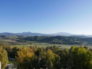 Superior Double Room with Terrace room in Casa Henrietta