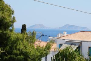 Two Olive Trees Spetses Greece