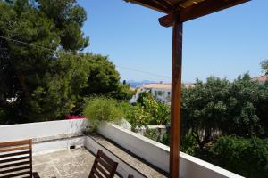 Two Olive Trees Spetses Greece