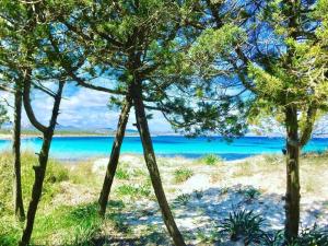 casavacanza golfo aranci img21